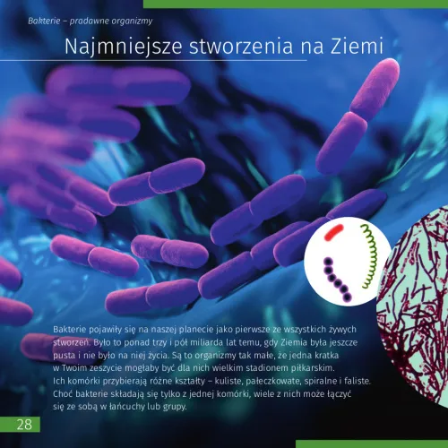fotografia spazio. Microcosmo. Libro educativo in 2 volumi, copertina rigida,  9