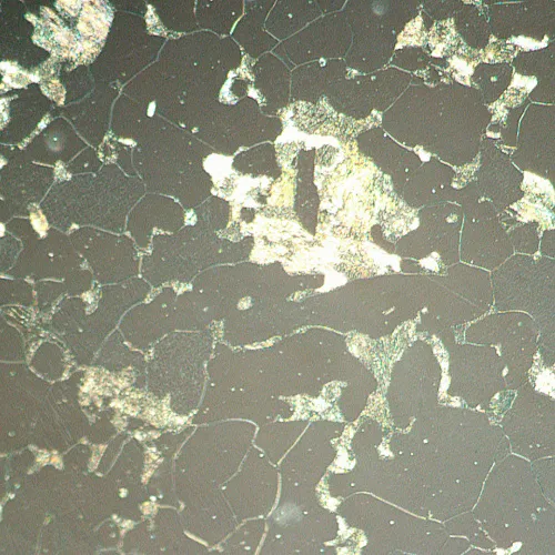 fotografia microscopio metallografico digitale MAGUS Metal D630 LCD,  20