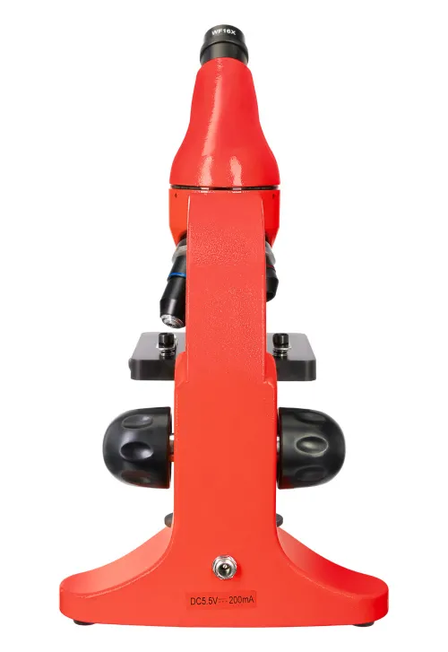 immagine microscopio Levenhuk Rainbow 50L PLUS,  9