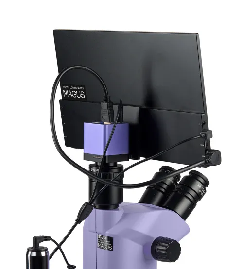 fotografia microscopio stereoscopico digitale MAGUS Stereo D8T LCD BASE,  11