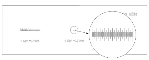 immagine vetrino di calibrazione CS3 MAGUS (0,01/0,05/0,1),  5