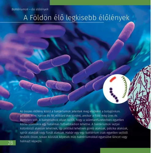 fotografia spazio. Microcosmo. Libro educativo in 2 volumi,  10