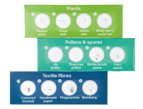 foto levenhuk Discovery Flora Set con 12 vetrini preparati,  3