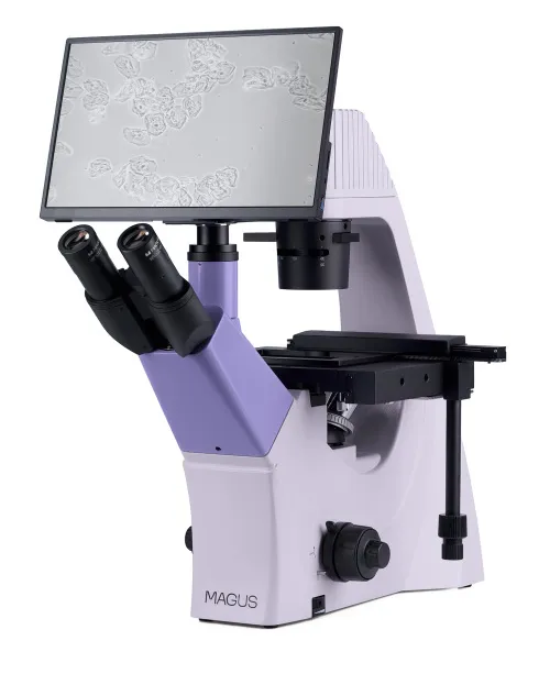foto microscopio biologico invertito digitale MAGUS Bio VD300 LCD,  3