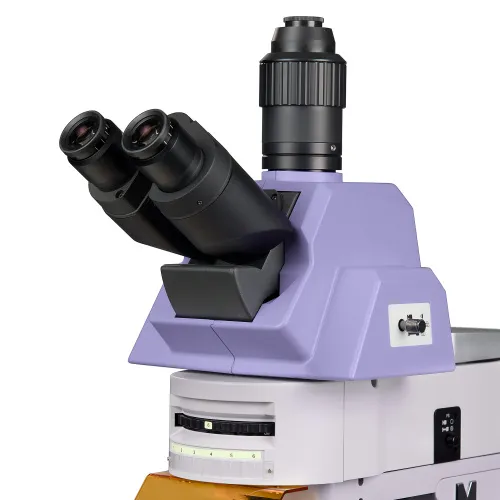 figura microscopio a fluorescenza MAGUS Lum 490L,  10