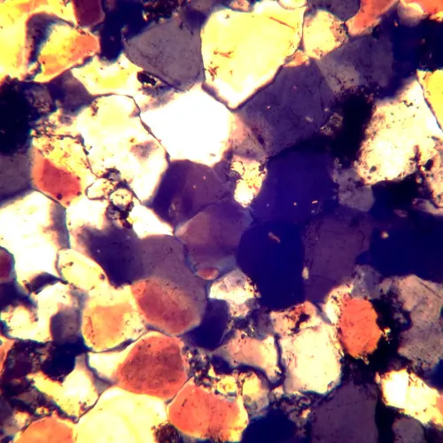 foto microscopio polarizzatore digitale MAGUS Pol D850,  26