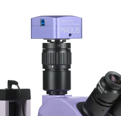 foto microscopio stereoscopico digitale MAGUS Stereo D7T PLUS,  4