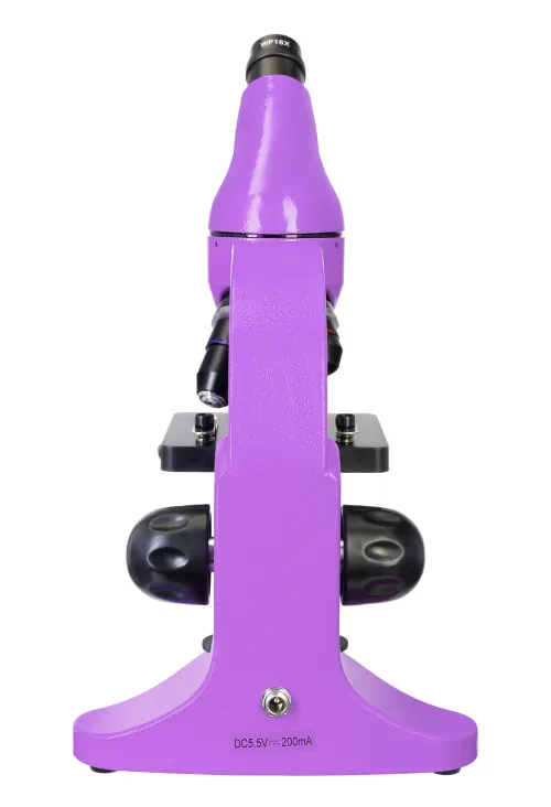 immagine microscopio Levenhuk Rainbow 50L PLUS,  9