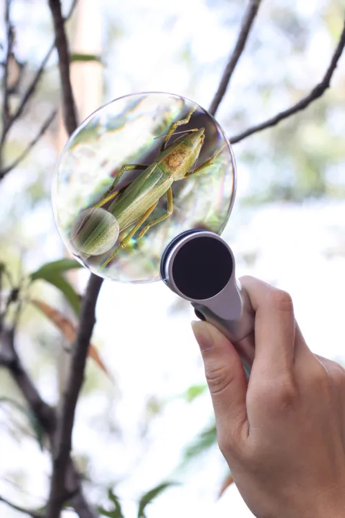 fotografia lente d’ingrandimento Levenhuk Zeno 400 LED, 2/4x, 88/21 mm, metallo,  9