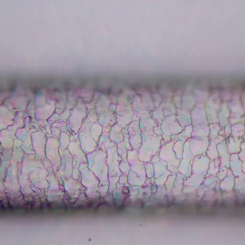 foto microscopio polarizzatore digitale MAGUS Pol D800 LCD,  25