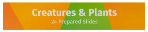 immagine levenhuk LabZZ CP24 Set di vetrini preparati Piante e Animali,  14