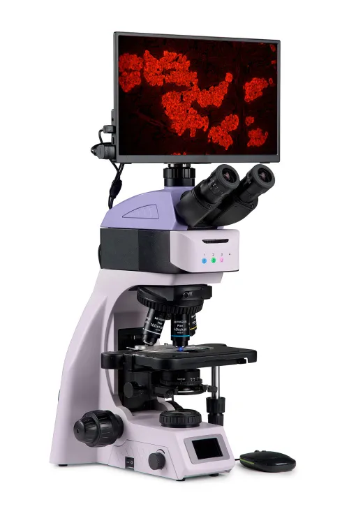 foto microscopio digitale a fluorescenza MAGUS Lum D460L LCD,  3