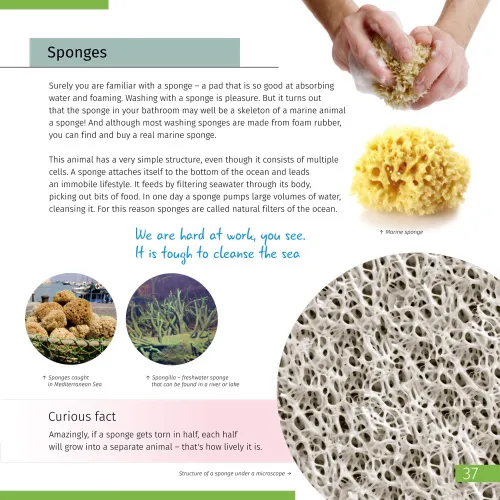 fotografia spazio. Microcosmo. Libro educativo in 2 volumi,  8