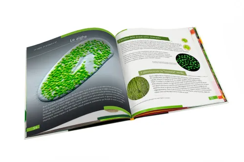 immagine mondo invisibile. Libro educativo. Copertina rigida,  3