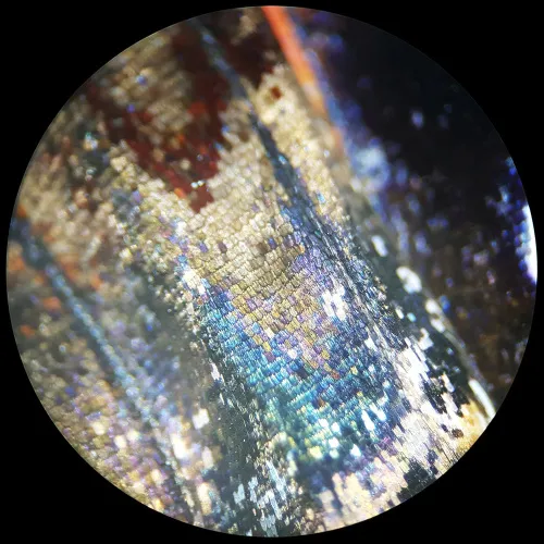 immagine microscopio a luce trasmessa e incidente BRESSER Analyth STR 10x - 40x,  7