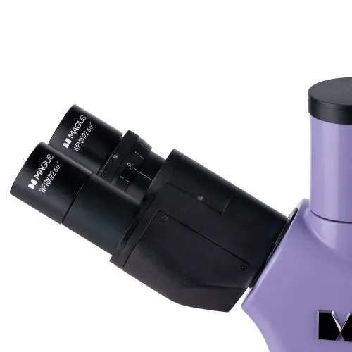 immagine microscopio a fluorescenza digitale MAGUS Lum D400 LCD,  12