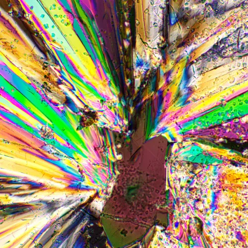 foto set polarizzatore/analizzatore MAGUS SPD1,  3