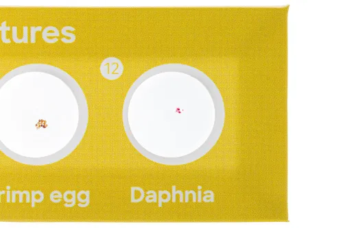 fotografia levenhuk Discovery Fauna Set con 12 vetrini preparati,  7