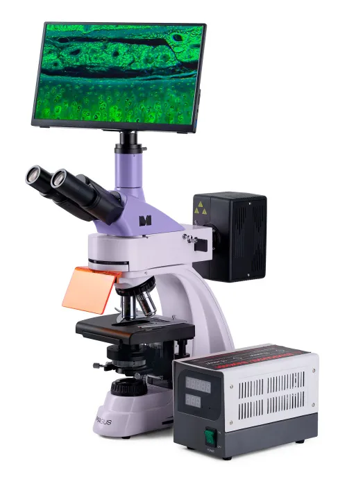 immagine microscopio a fluorescenza digitale MAGUS Lum D400 LCD,  3