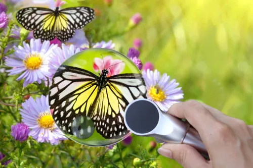 fotografia lente d’ingrandimento Levenhuk Zeno 400 LED, 2/4x, 88/21 mm, metallo,  7