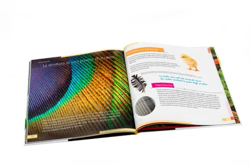 immagine mondo invisibile. Libro educativo. Copertina rigida,  4