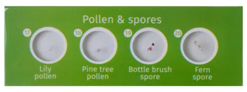 immagine levenhuk LabZZ CP24 Set di vetrini preparati Piante e Animali,  6