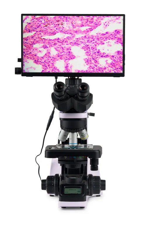figura microscopio biologico digitale MAGUS Bio D240T LCD,  4