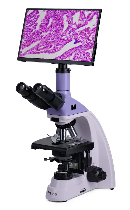 immagine microscopio biologico digitale MAGUS Bio D250T LCD,  3