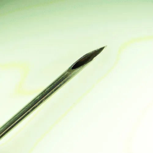 fotografia microscopio stereoscopico digitale MAGUS Stereo D8T LCD PLUS,  22