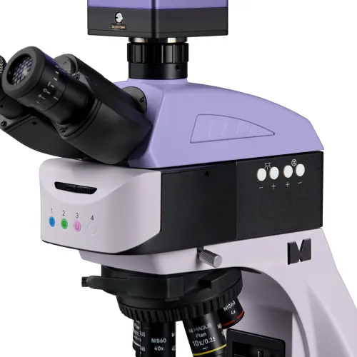 immagine microscopio a fluorescenza digitale MAGUS Lum D460L,  12
