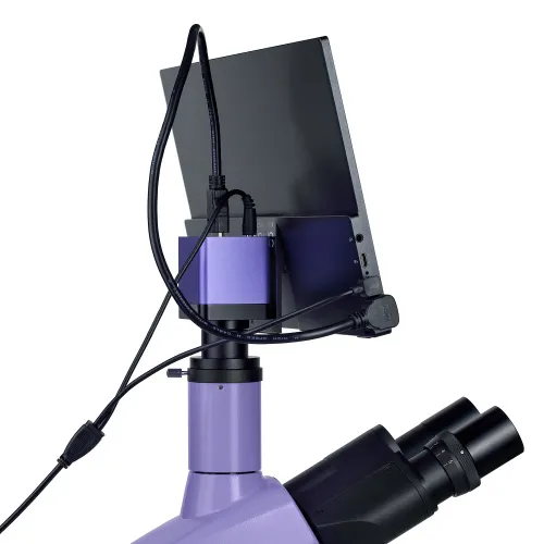 immagine microscopio biologico digitale MAGUS Bio D250T LCD,  26