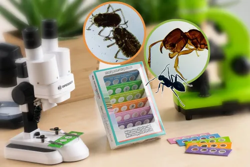 foto kit per esperimenti Bresser Junior con 24 preparati permanenti microscopio per principianti,  2