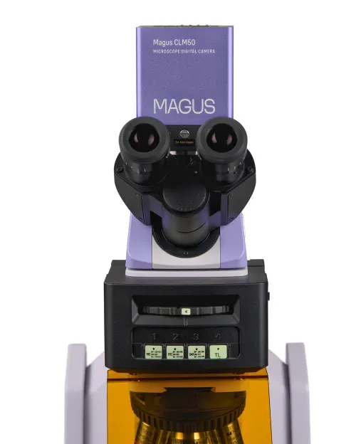 immagine microscopio a fluorescenza digitale MAGUS Lum D470L,  10