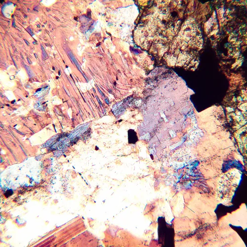 foto microscopio polarizzatore digitale MAGUS Pol D800 LCD,  22