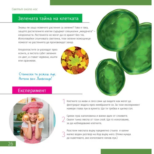 figura mondo invisibile. Libro educativo,  4