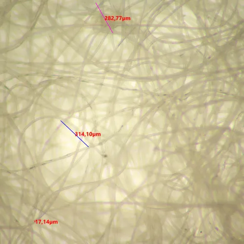 foto microscopio stereoscopico MAGUS Stereo 9T,  20
