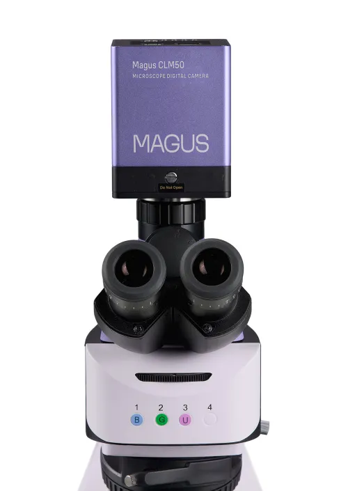 immagine microscopio a fluorescenza digitale MAGUS Lum D460L,  11