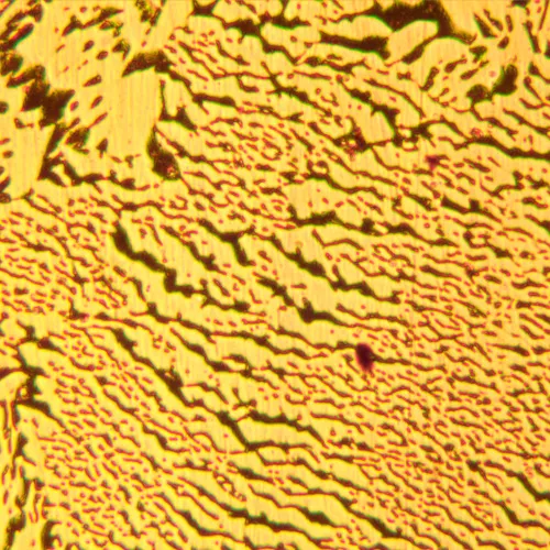 foto microscopio metallografico digitale MAGUS Metal D600,  28