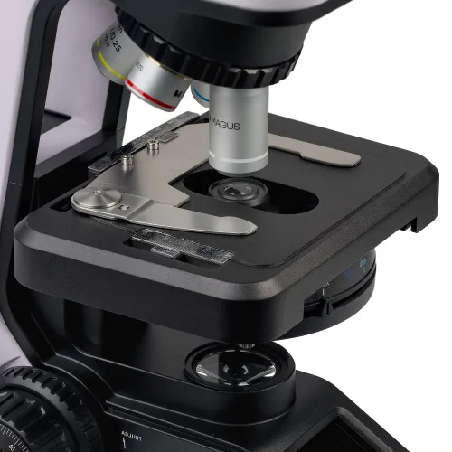 fotografia microscopio biologico MAGUS Bio 240T,  15