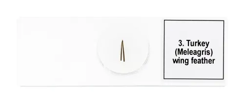 figura set di micropreparati Levenhuk Discovery Prof DPS 5. “Uccelli”,  7