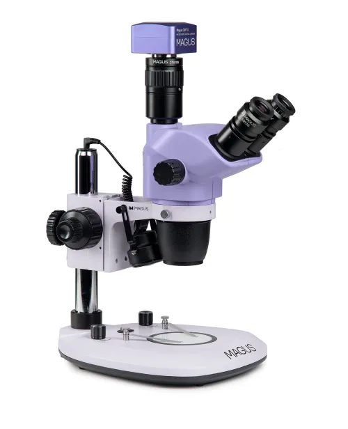 immagine microscopio stereoscopico digitale MAGUS Stereo D8T PLUS,  3