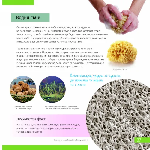 figura mondo invisibile. Libro educativo,  7