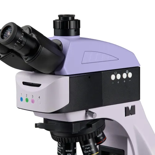 immagine microscopio a fluorescenza MAGUS Lum 460L,  11