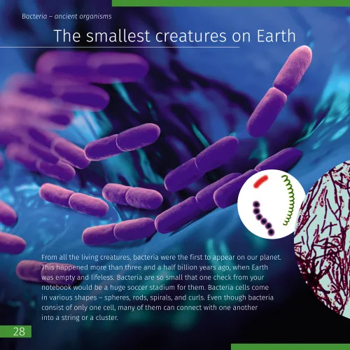 fotografia spazio. Microcosmo. Libro educativo in 2 volumi,  10