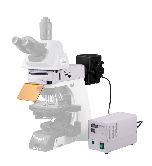 immagine attacco epi-fluorescenza MAGUS Epi-FL06, lampada al mercurio, cubi per filtri fluorescenti В/G/UV/V/R/FITC/TRITC/DAPI,  16