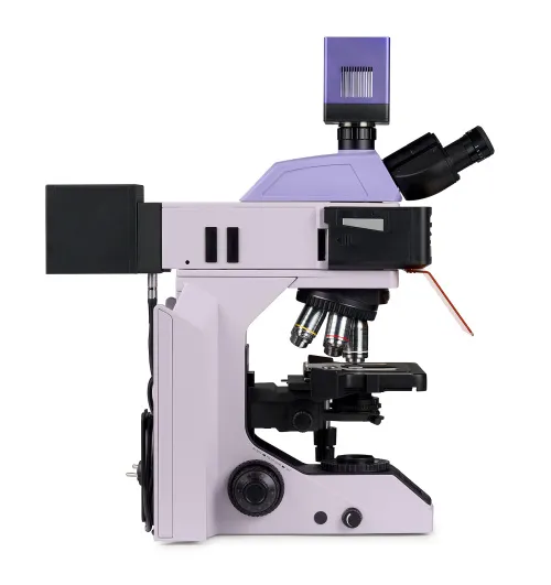immagine microscopio a fluorescenza digitale MAGUS Lum D470L,  8