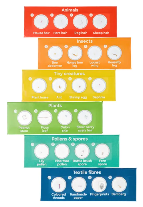 fotografia microscopio Levenhuk Discovery Centi 01 con libro,  15