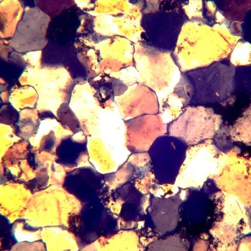 foto microscopio polarizzatore digitale MAGUS Pol D800 LCD,  24