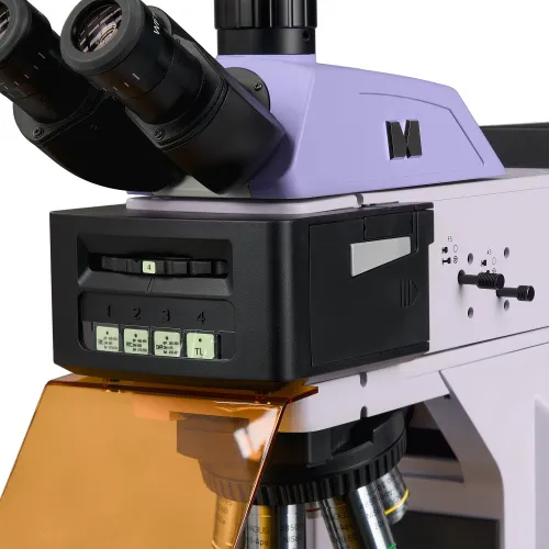 immagine microscopio a fluorescenza digitale MAGUS Lum D470L,  12