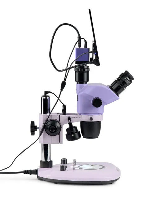 fotografia microscopio stereoscopico digitale MAGUS Stereo D8T LCD BASE,  8
